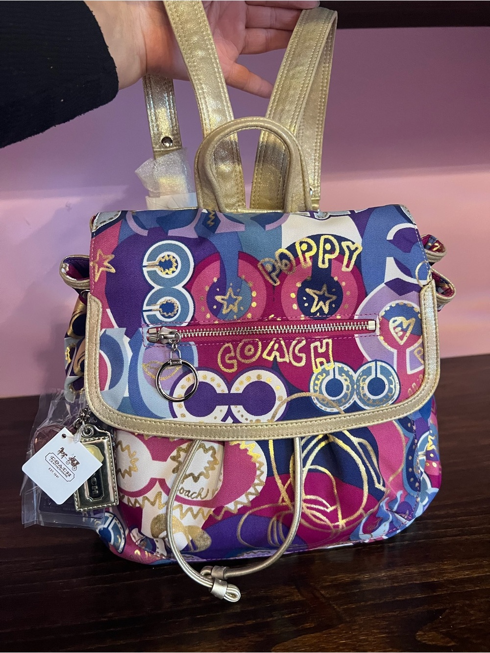 Coach Poppy Multicolor Canvas Backpack with Gold Trim